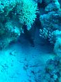 Unter Wasser (52)